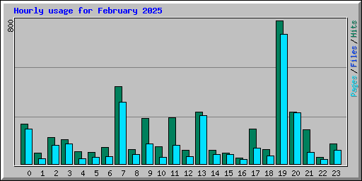 Hourly usage for February 2025