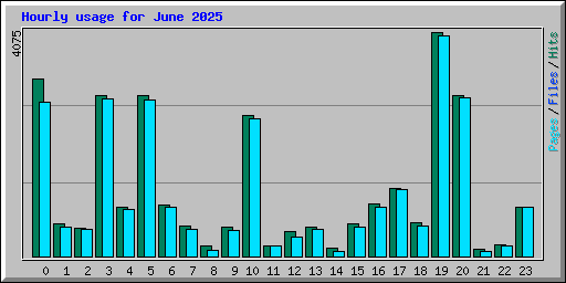 Hourly usage for June 2025