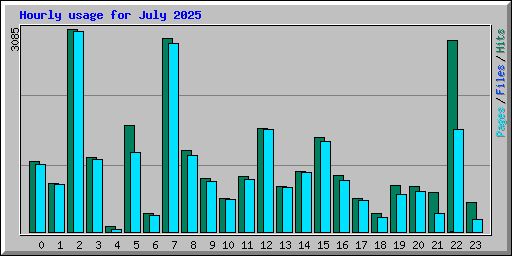 Hourly usage for July 2025