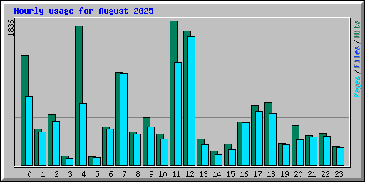 Hourly usage for August 2025