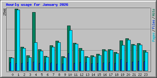Hourly usage for January 2026